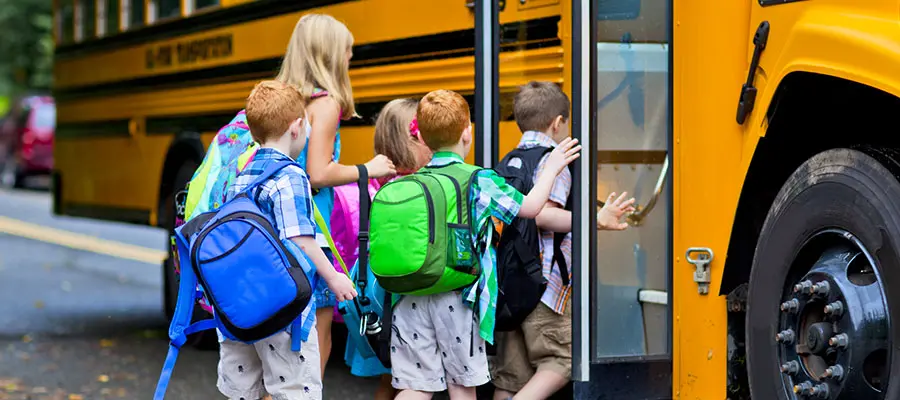 Cosenza, aperte le iscrizioni al servizio di trasporto scolastico per l'anno 2026-2027\n