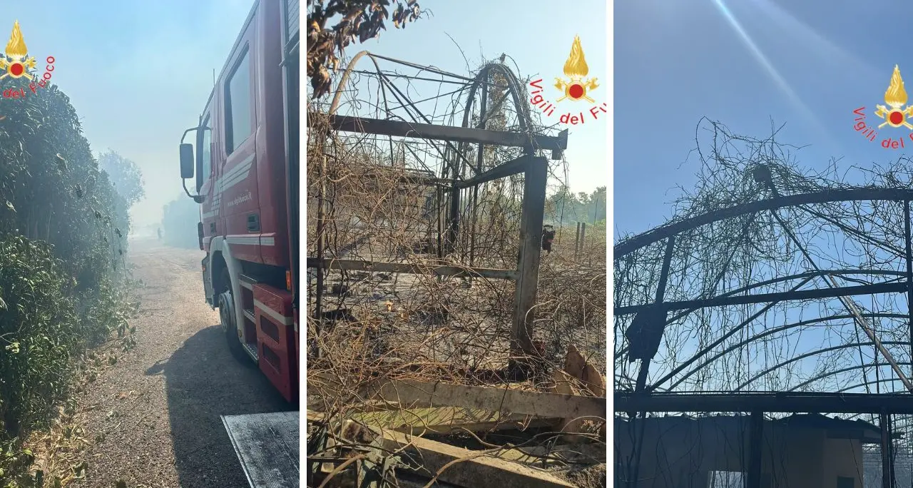 Lamezia Terme: vasto incendio sulla SS18 lambisce attività commerciali e blocca temporaneamente\u00A0la ferrovia\n