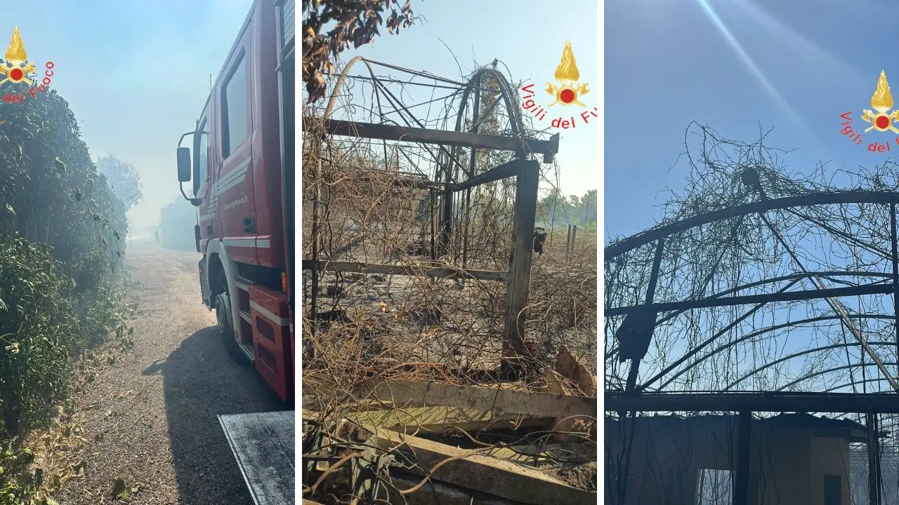 Lamezia Terme: vasto incendio sulla SS18 lambisce attività commerciali e blocca temporaneamente\u00A0la ferrovia\n