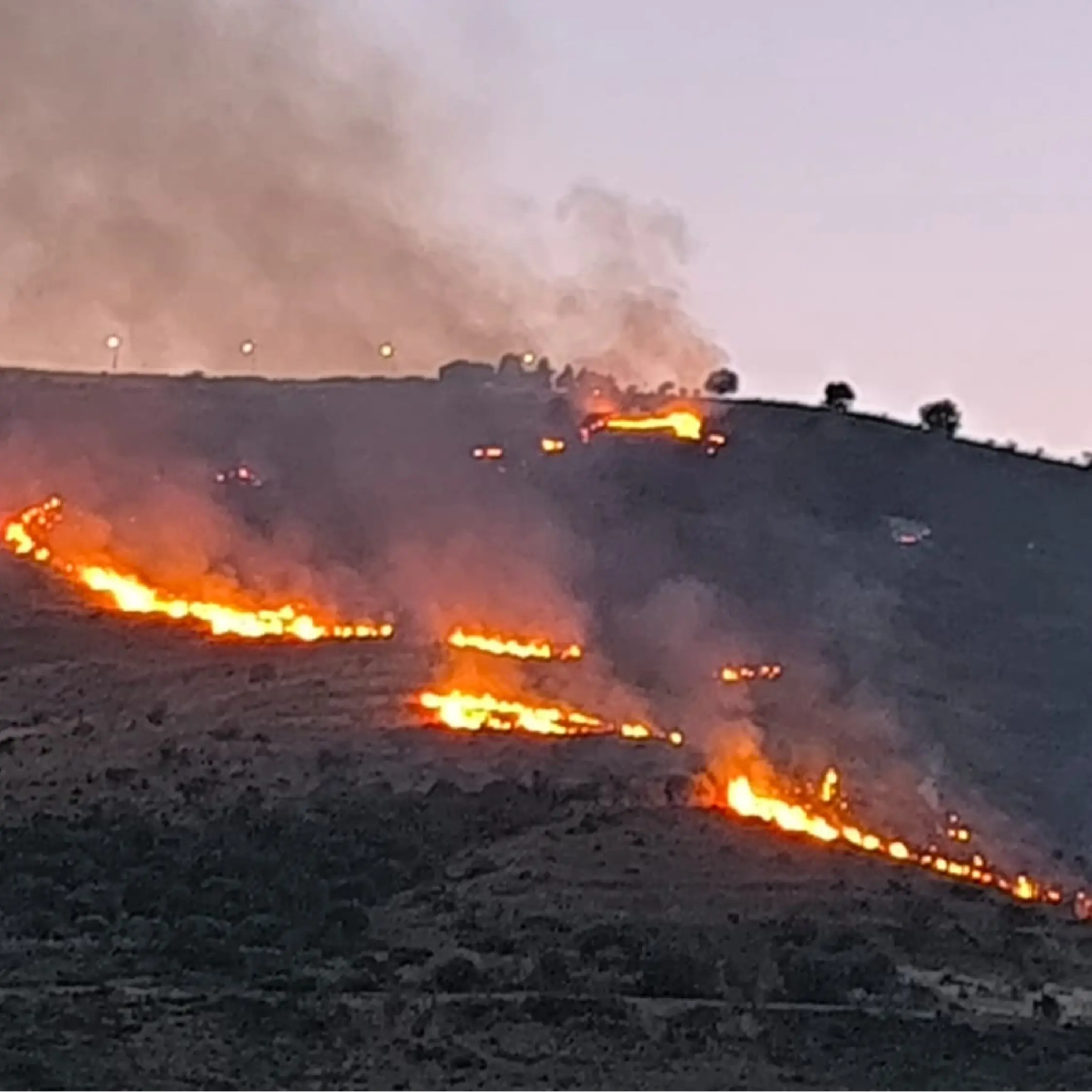 Incendio a nord di Cassano: il fuoco divora Giostratico minacciando le case della \"Cappella del Monte\"\n