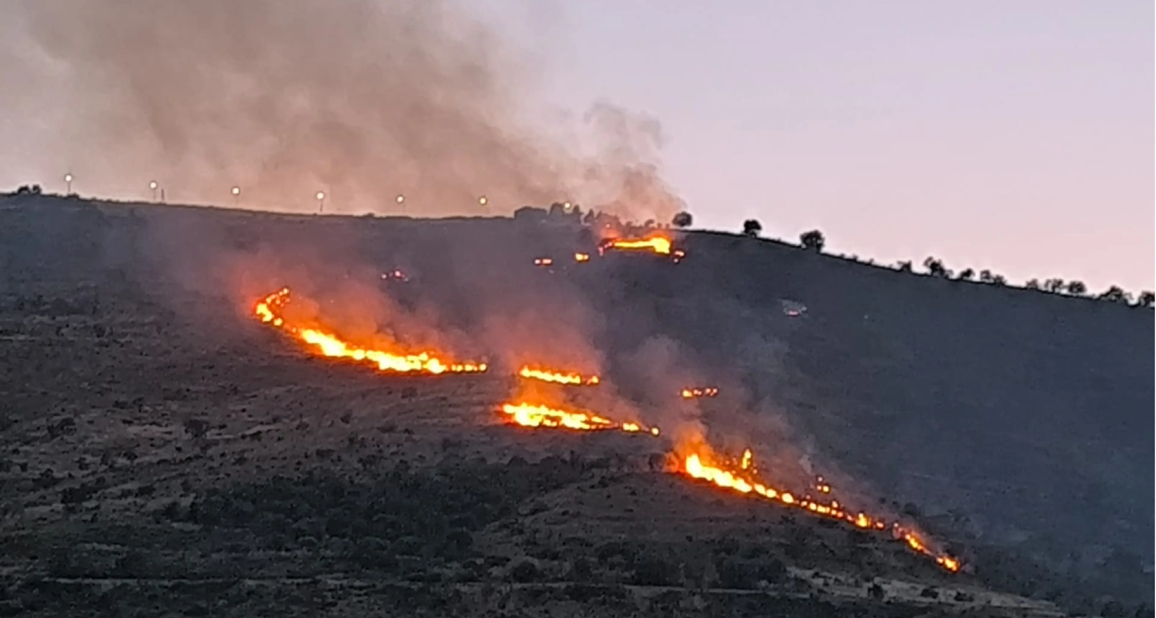 Incendio a nord di Cassano: il fuoco divora Giostratico minacciando le case della \"Cappella del Monte\"\n