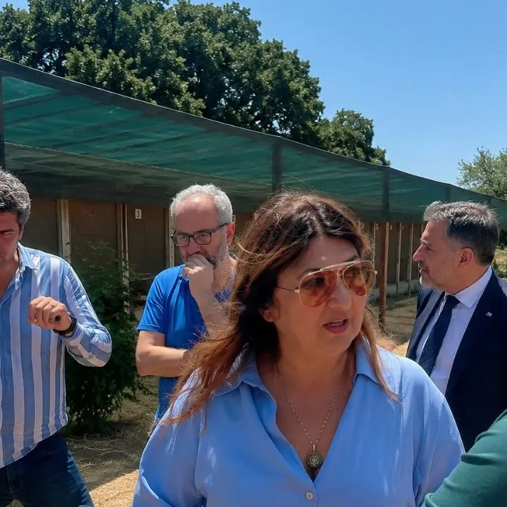 Calabria, Straface avvia il tour nei canili sanitari e annuncia un tavolo permanente\n