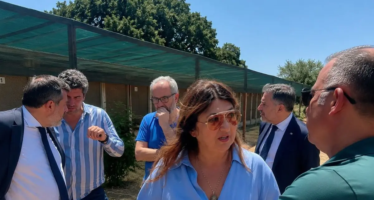 Calabria, Straface avvia il tour nei canili sanitari e annuncia un tavolo permanente\n