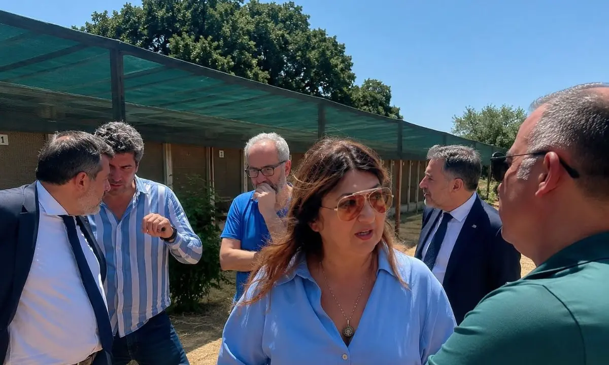 Calabria, Straface avvia il tour nei canili sanitari e annuncia un tavolo permanente\n