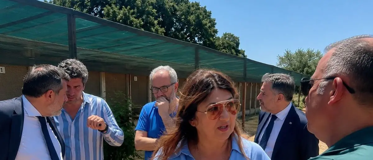 Calabria, Straface avvia il tour nei canili sanitari e annuncia un tavolo permanente\n