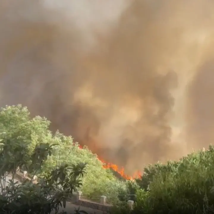 Incendio tra Rende e Marano, fiamme vicino alle abitazioni nell’area di Nogiano | VIDEO\n