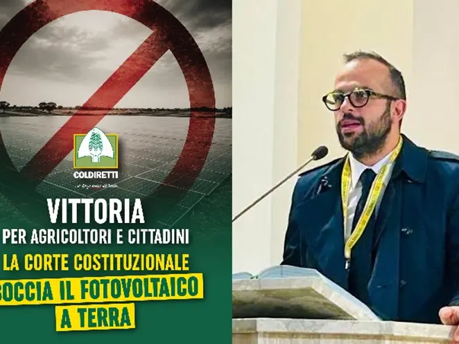 Per la Corte Costituzionale è legittimo vietare nuovi impianti fotovoltaici su suolo agricolo, esulta Coldiretti