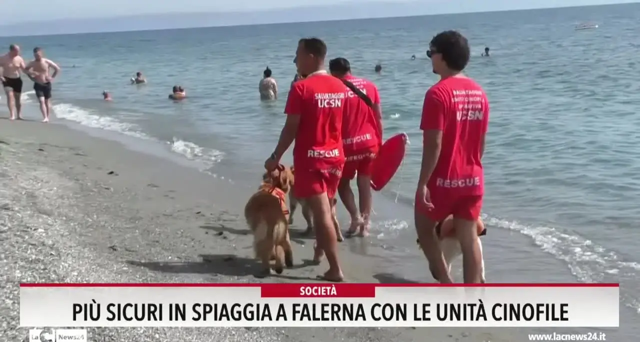Più sicuri in spiaggia a Falerna con le unità cinofile