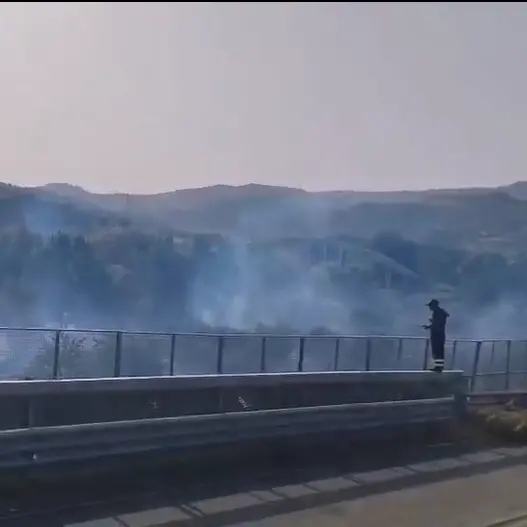 Calabria nella morsa degli incendi, 150 interventi dei Vigili del Fuoco: emergenza tra Catanzaro, Stalettì e Squillace\n