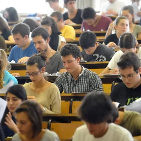 <p><span style=\"color:hsl(0, 75%, 60%);\">Medicina veterinaria</span>, i consiglieri Talerico e Veraldi sollecitano la riattivazione del corso di laura magistrale a ciclo unico</p>