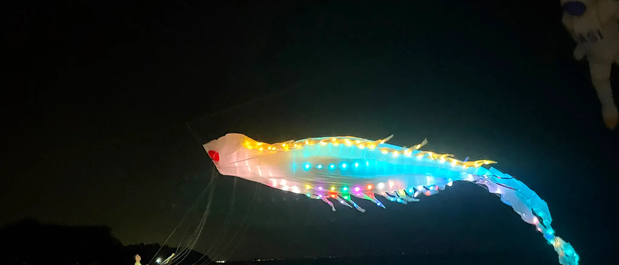 Festival degli aquiloni, la prima giornata è stata un successo. Belcaro: «Strafelice che la nostra intuizione del 2023 continui a dare frutto»