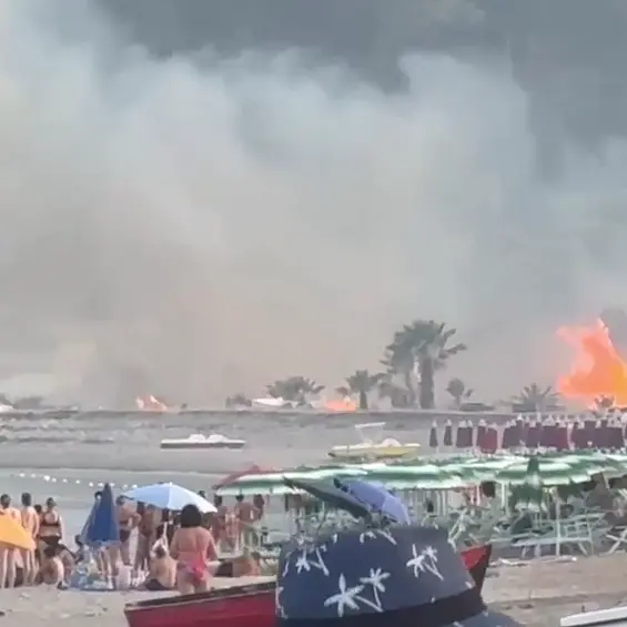 Incendi in Calabria, il Codacons attacca: «Tragedia sfiorata e territorio abbandonato, non è un’emergenza imprevedibile»\n