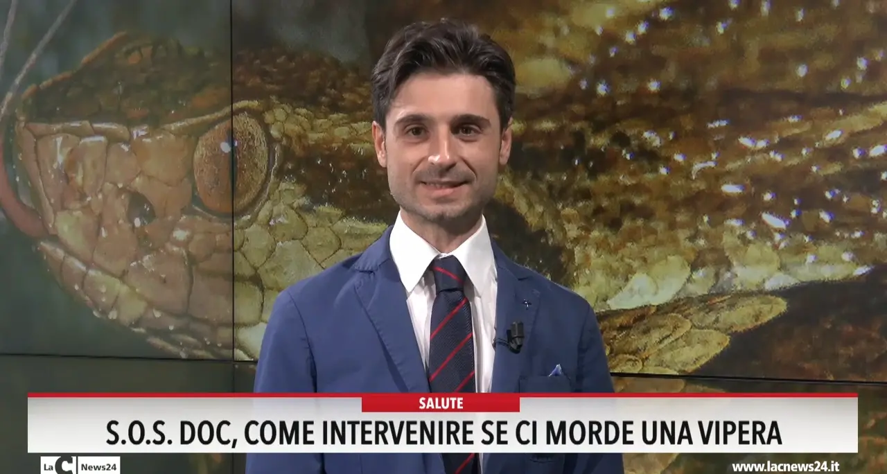 Sos Doc, come intervenire se ci morde una vipera