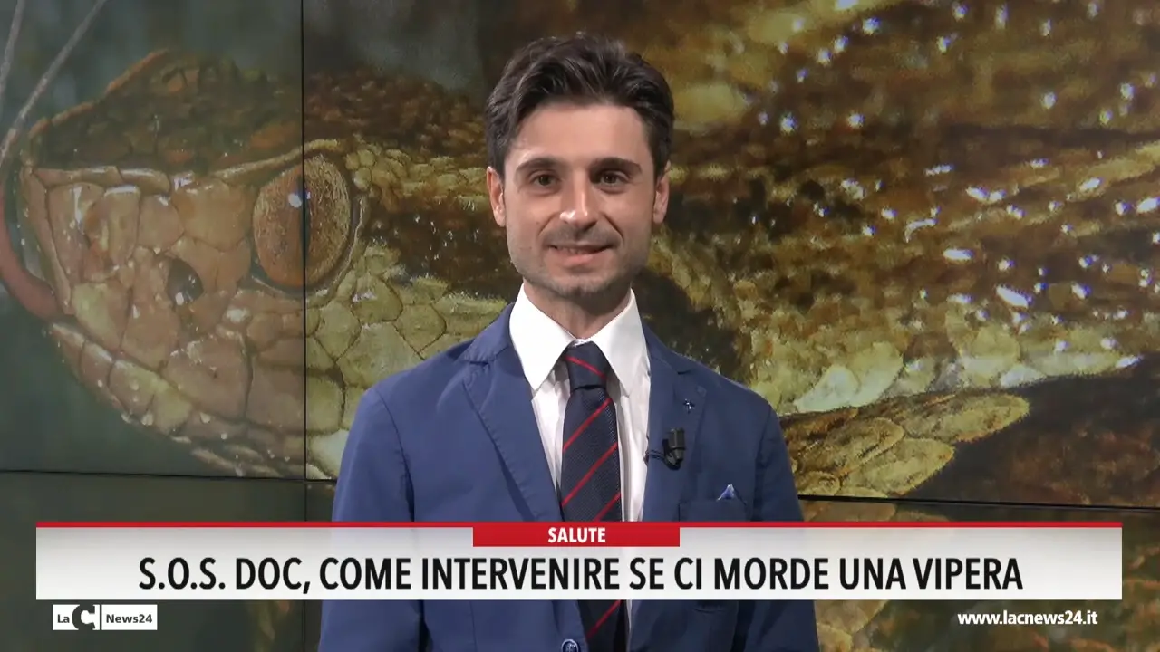 Sos Doc, come intervenire se ci morde una vipera
