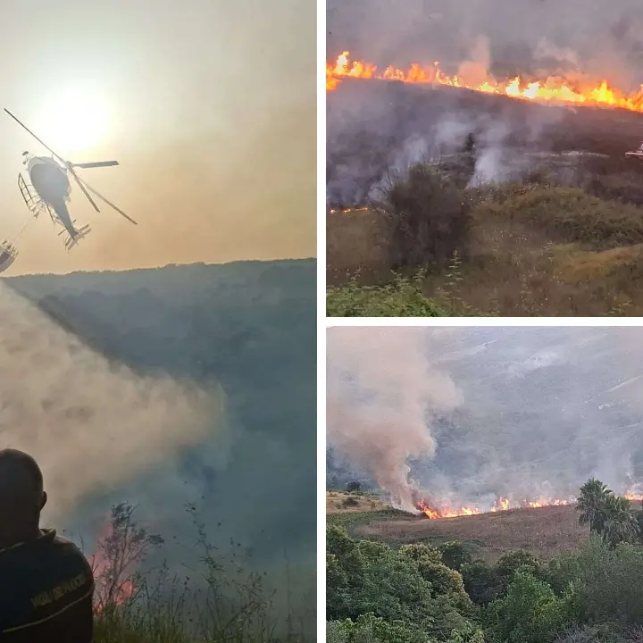 Incendi senza tregua nel Vibonese, trenta interventi in dodici ore: roghi estesi a Mileto e Jonadi, a Briatico fiamme vicino le case\n