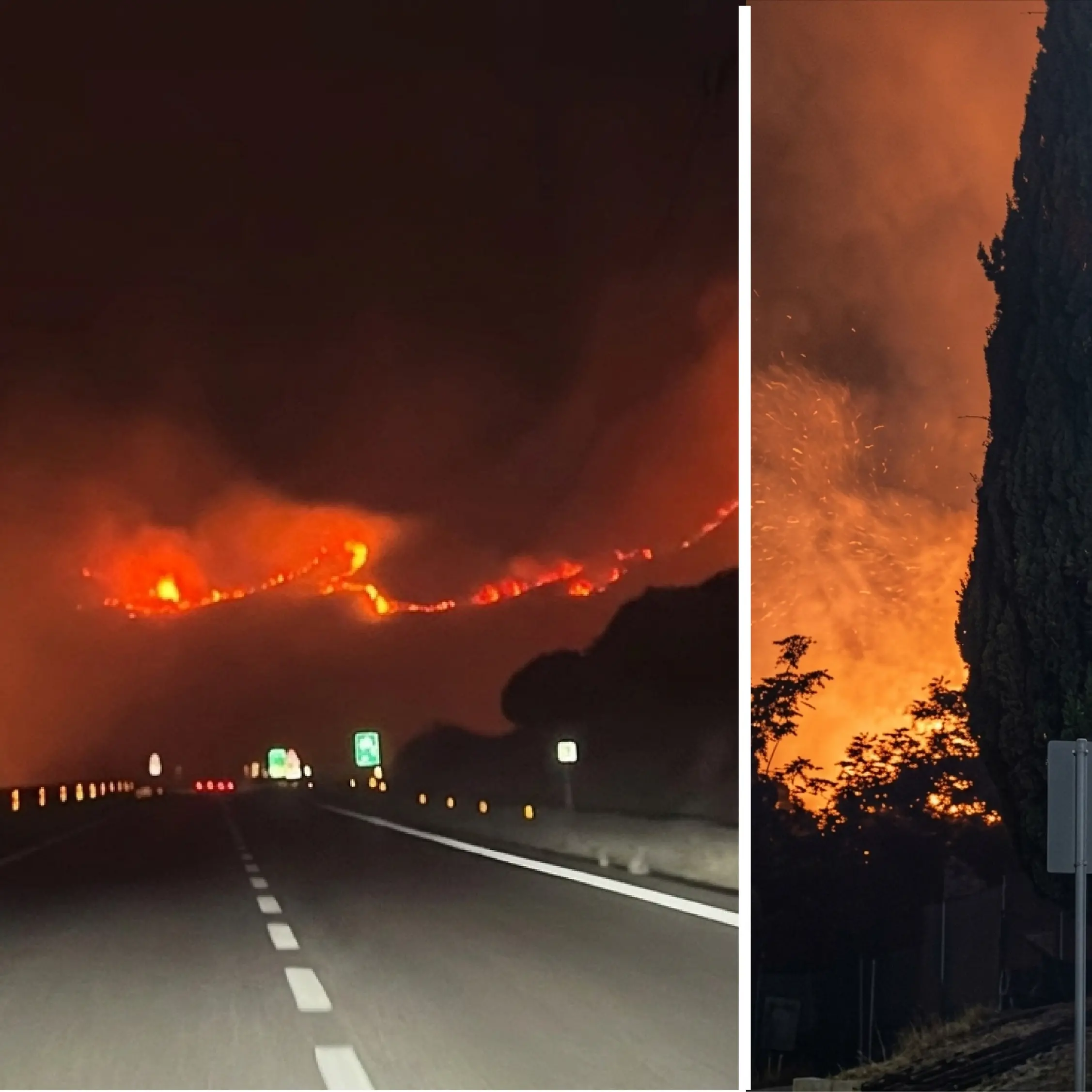 Il Pollino brucia: fiamme dal Petraro a Serra Dolcedorme. Persi\u00A0i polmoni verdi dell’aerea\n