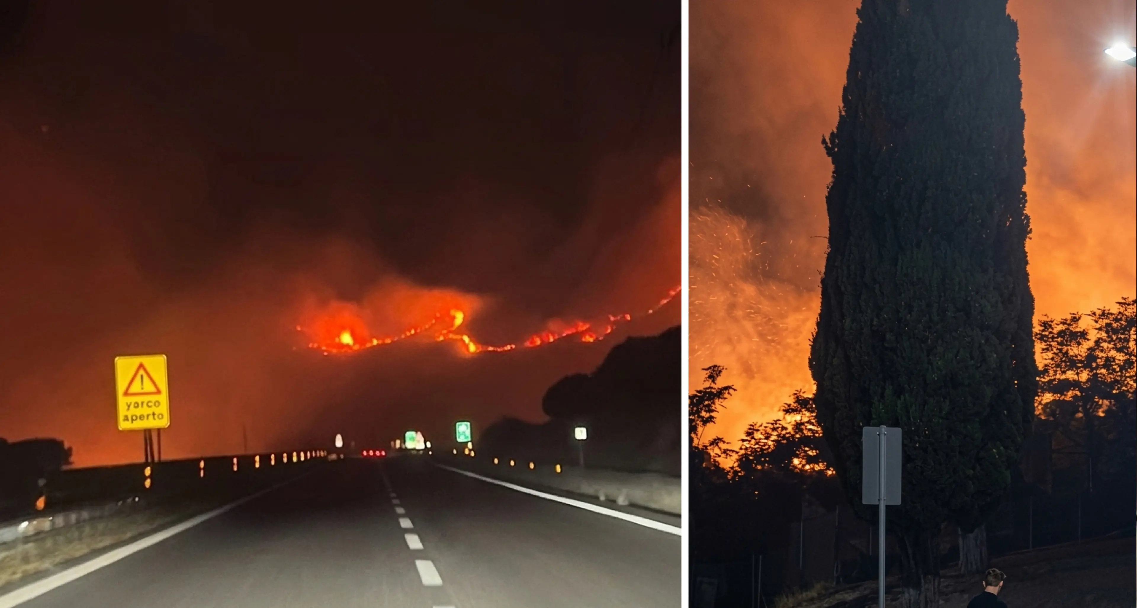 Il Pollino brucia: fiamme dal Petraro a Serra Dolcedorme. Persi\u00A0i polmoni verdi dell’aerea\n