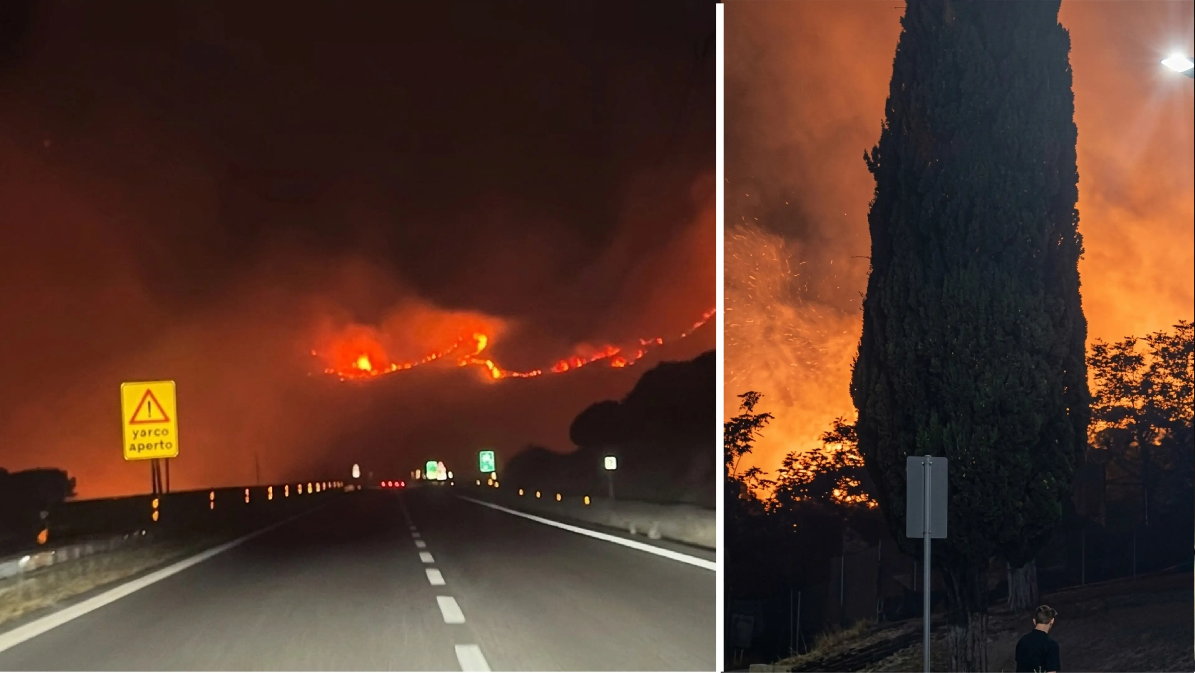 Il Pollino brucia: fiamme dal Petraro a Serra Dolcedorme. Persi\u00A0i polmoni verdi dell’aerea\n