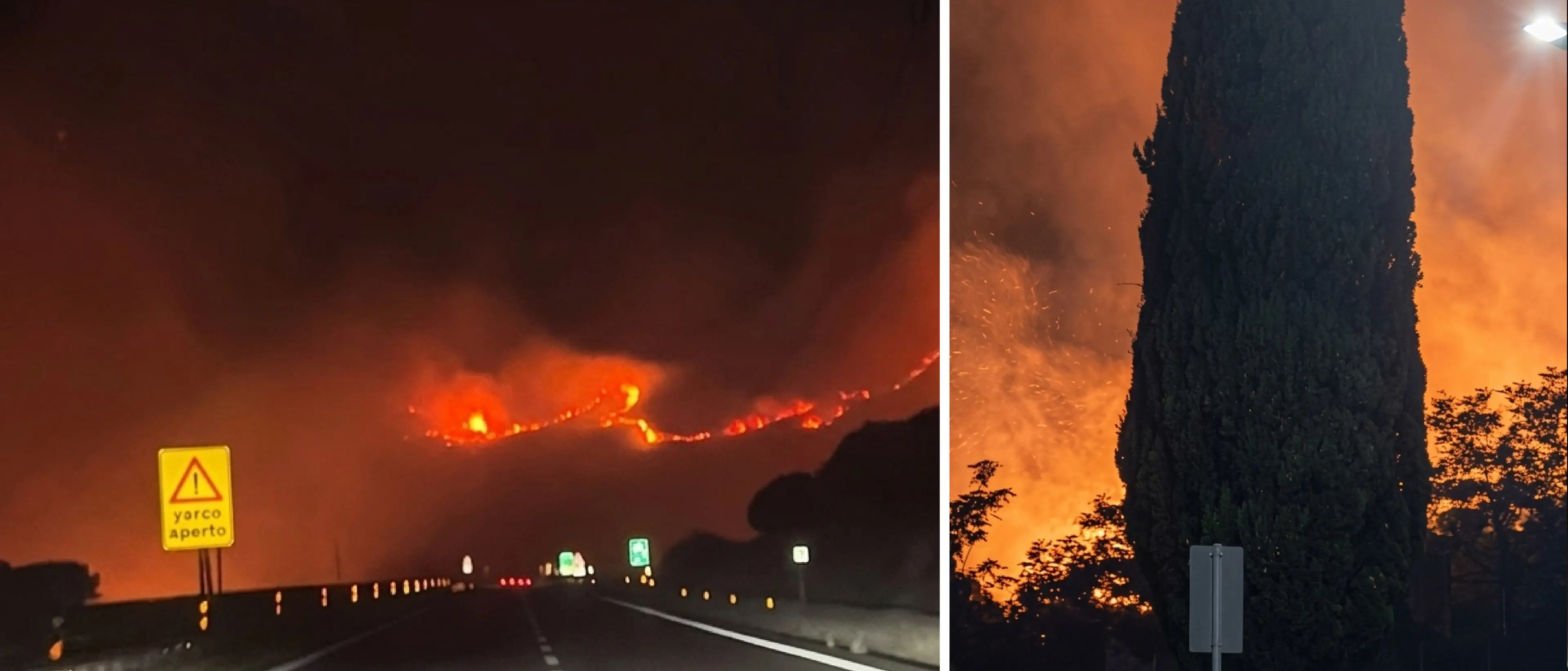 Il Pollino brucia: fiamme dal Petraro a Serra Dolcedorme. Persi\u00A0i polmoni verdi dell’aerea\n