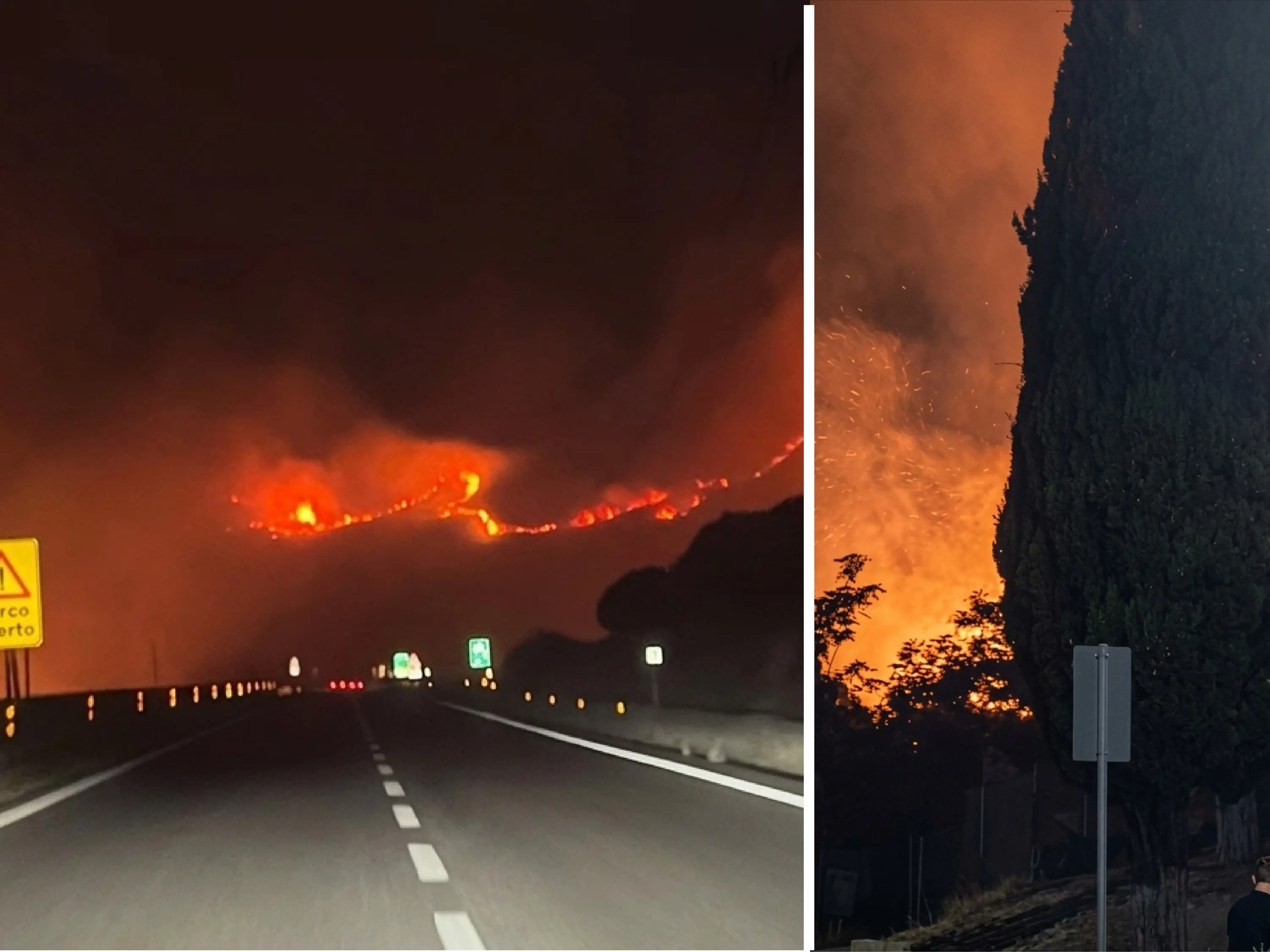 Il Pollino brucia: fiamme dal Petraro a Serra Dolcedorme. Persi i polmoni verdi dell’aerea