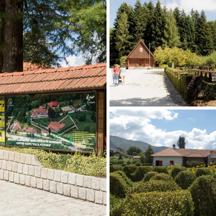 Il cuore verde di Mongiana: Villa Vittoria è una porta aperta sulle meraviglie del territorio in un percorso tra natura e memoria\n