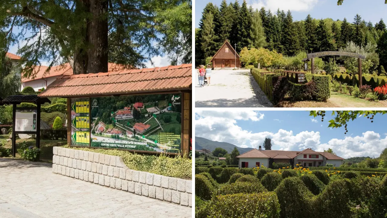 Il cuore verde di Mongiana: Villa Vittoria è una porta aperta sulle meraviglie del territorio in un percorso tra natura e memoria\n