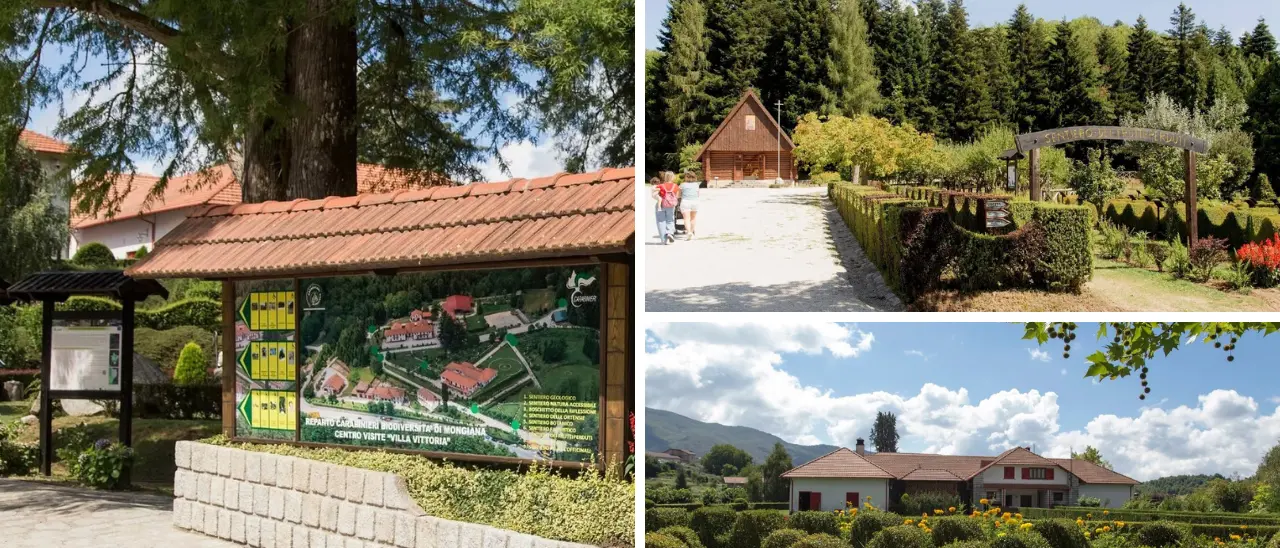 Il cuore verde di Mongiana: Villa Vittoria è una porta aperta sulle meraviglie del territorio in un percorso tra natura e memoria\n
