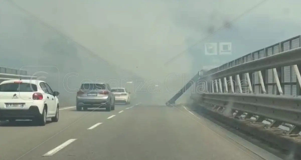 Incendio boschivo lungo l’A2 Autostrada del Mediterraneo