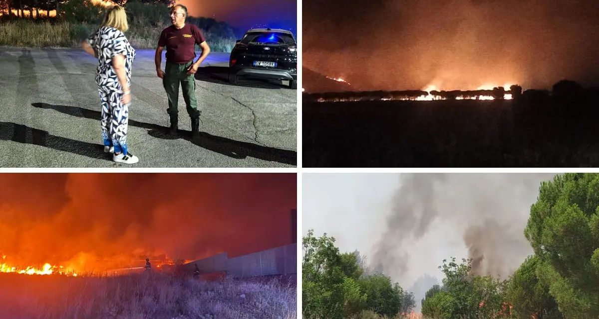 <p>Castrovillari circondata dalle fiamme, bruciano centinaia di ettari nel Pollino</p>