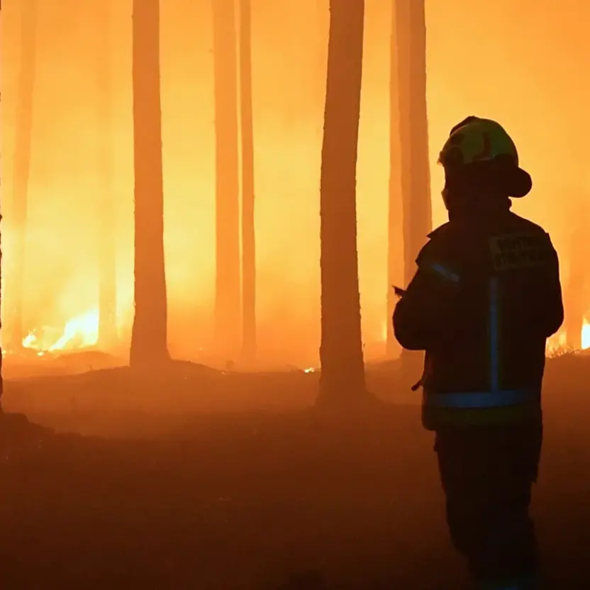 Il semaforo eterno sulla Statale 106 e la Calabria dove l’emergenza ha sostituito la prevenzione\n