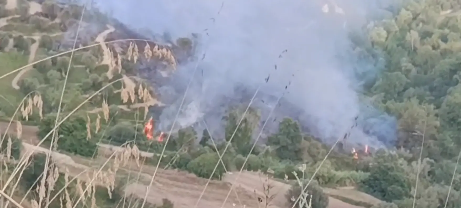 Vasto incendio nelle campagne di Stefanaconi