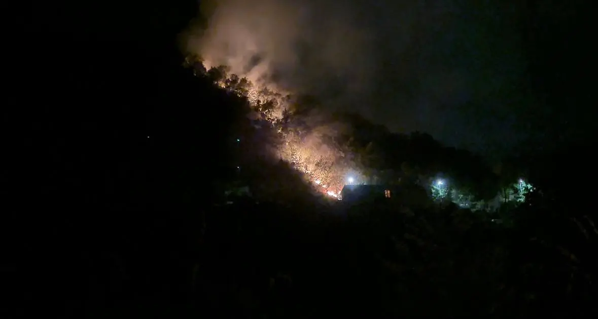Vasto incendio su Via Nazionale a Carolei: minacciate alcune abitazioni