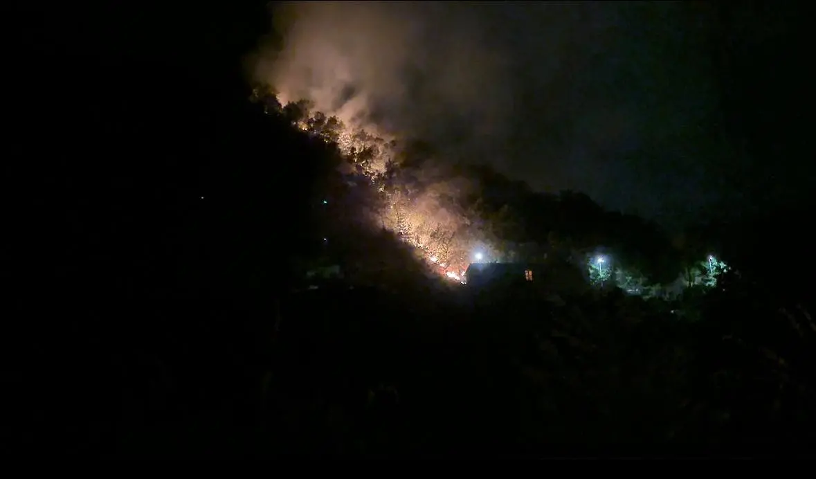 Vasto incendio su Via Nazionale a Carolei: minacciate alcune abitazioni