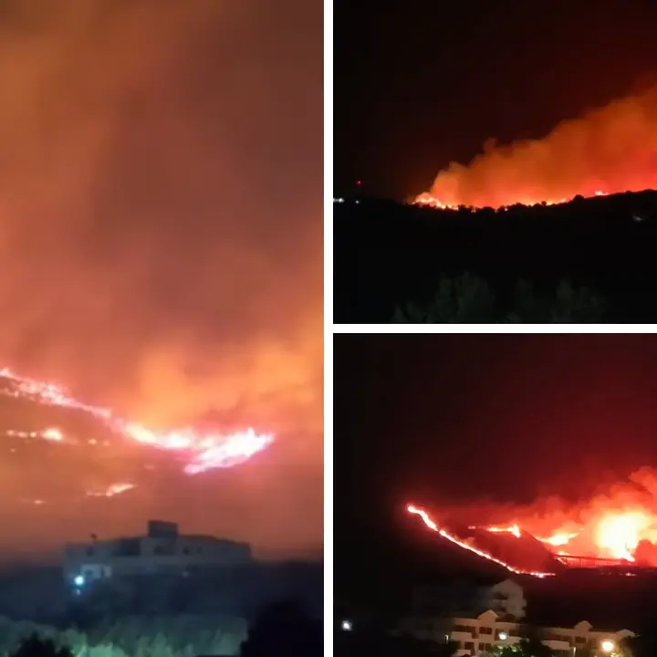 Calabria, inferno di fuoco: incendi da Squillace al Pollino, evacuazioni, case minacciate e Canadair in azione\n