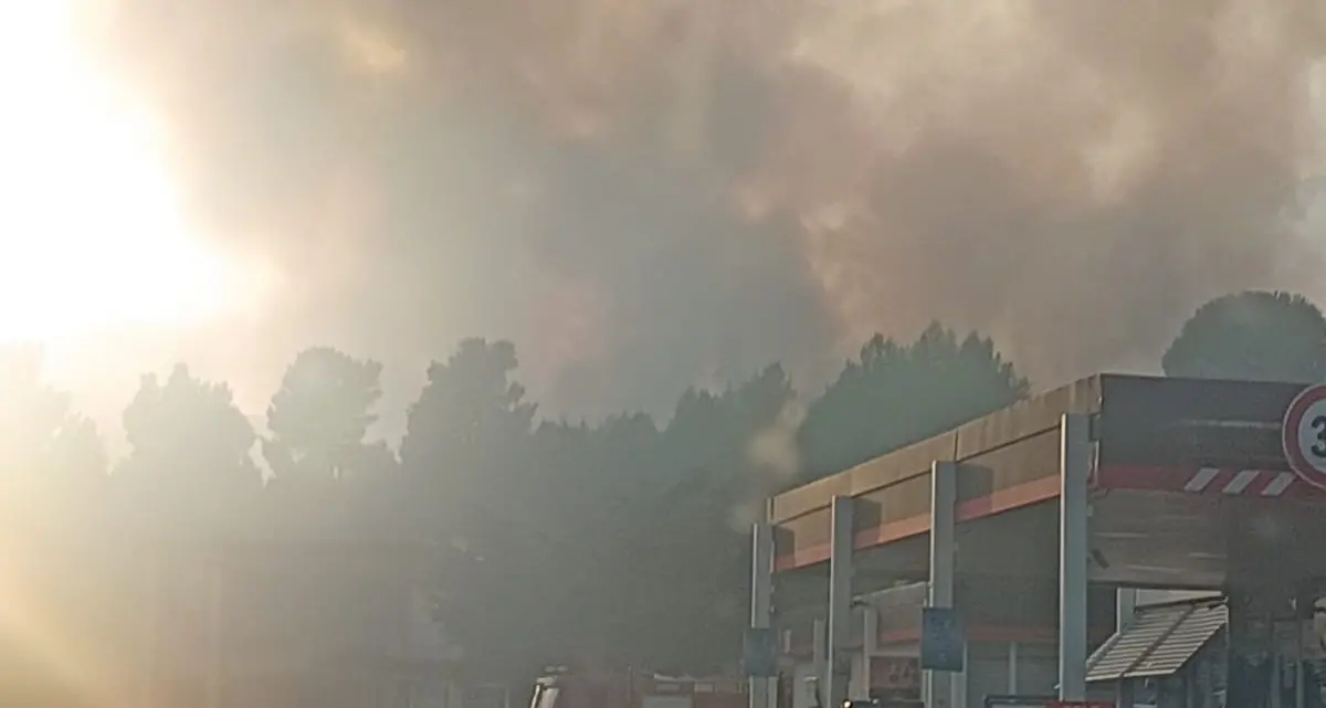 Incendi nel Pollino, le fiamme avanzano verso le vette della Manfriana: Canadair in azione | VIDEO