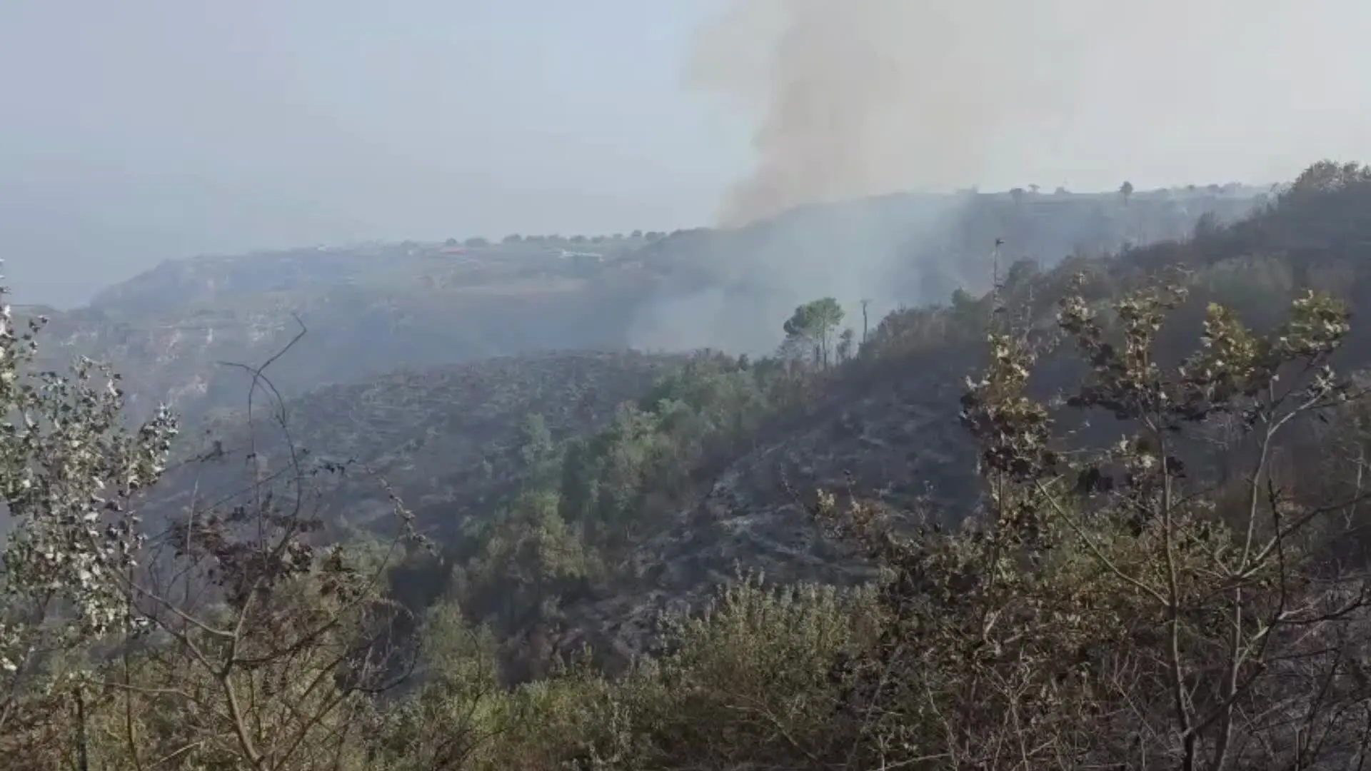 La collina di Drapia in località Torre Galli devastata dal fuoco