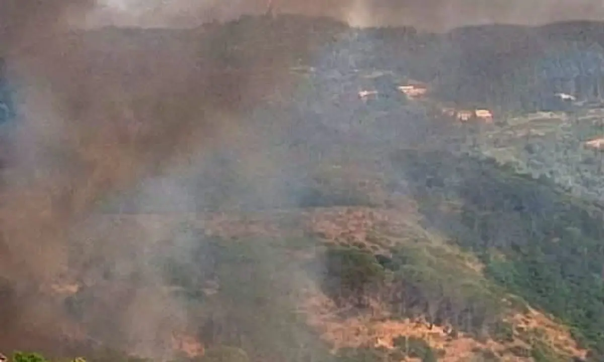 Incendio ad Acri, il fronte del fuoco si allarga: chiesto un Canadair da Roma\n