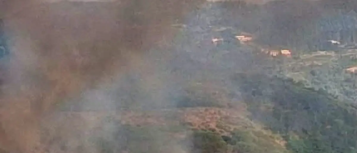 Incendio ad Acri, il fronte del fuoco si allarga: chiesto un Canadair da Roma\n