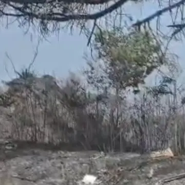 Incendi nel Vibonese, Torre Galli ridotta in cenere: collina di Drapia devastata. Oltre 40 interventi dei vigili del fuoco in 24 ore\n