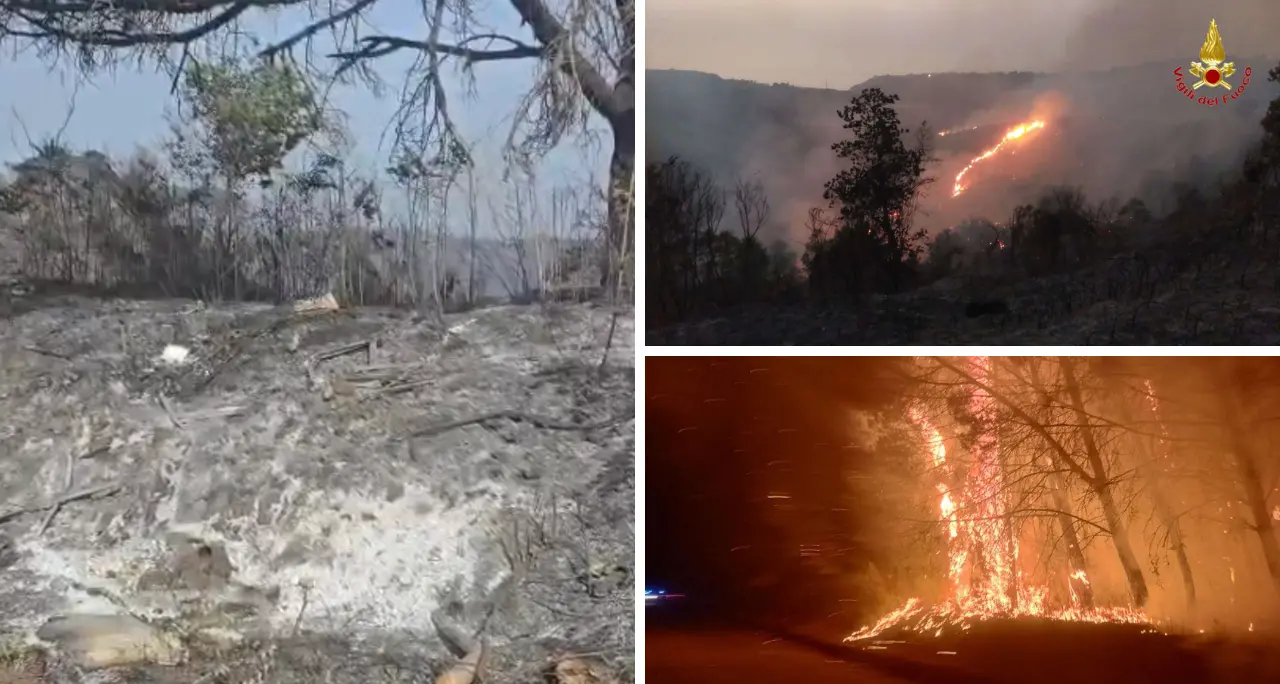 Incendi nel Vibonese, Torre Galli ridotta in cenere: collina di Drapia devastata. Oltre 40 interventi dei vigili del fuoco in 24 ore\n