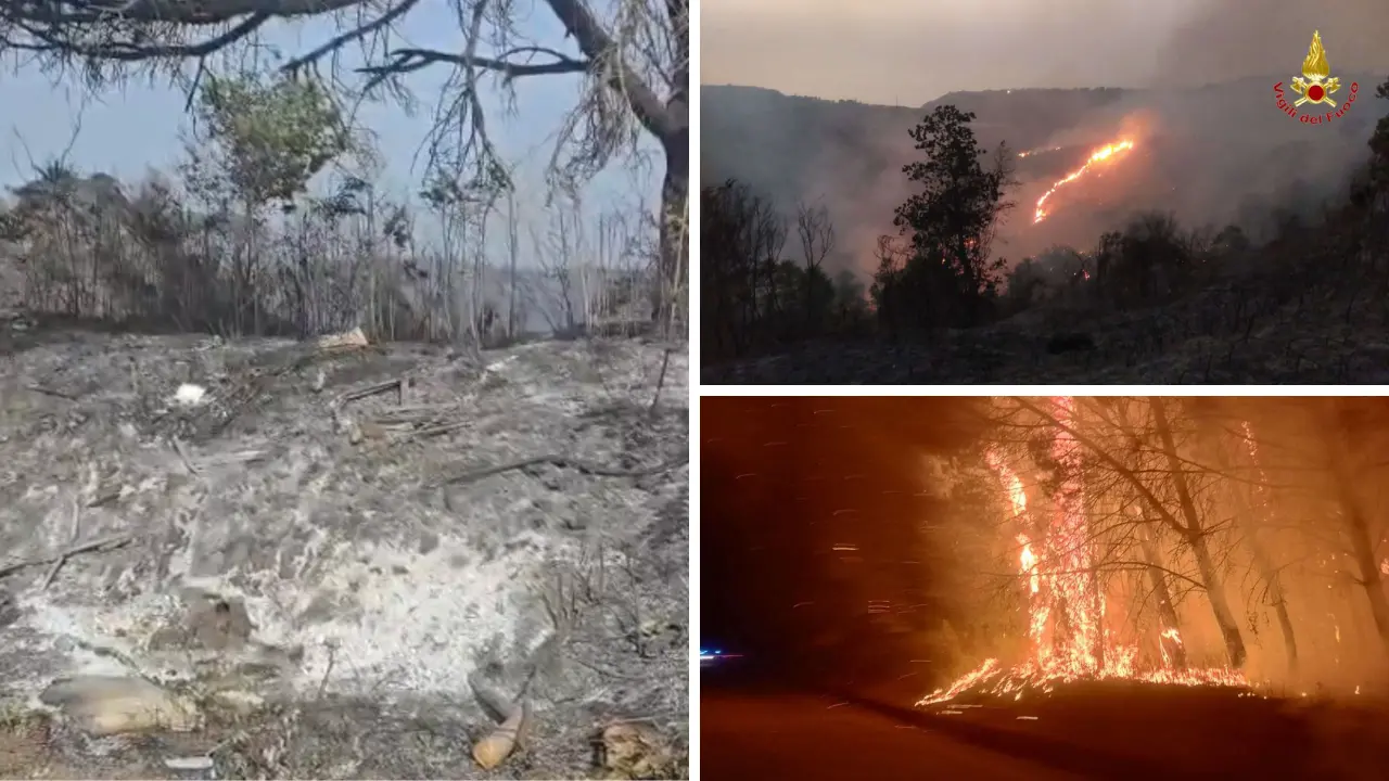 Incendi nel Vibonese, Torre Galli ridotta in cenere: collina di Drapia devastata. Oltre 40 interventi dei vigili del fuoco in 24 ore\n