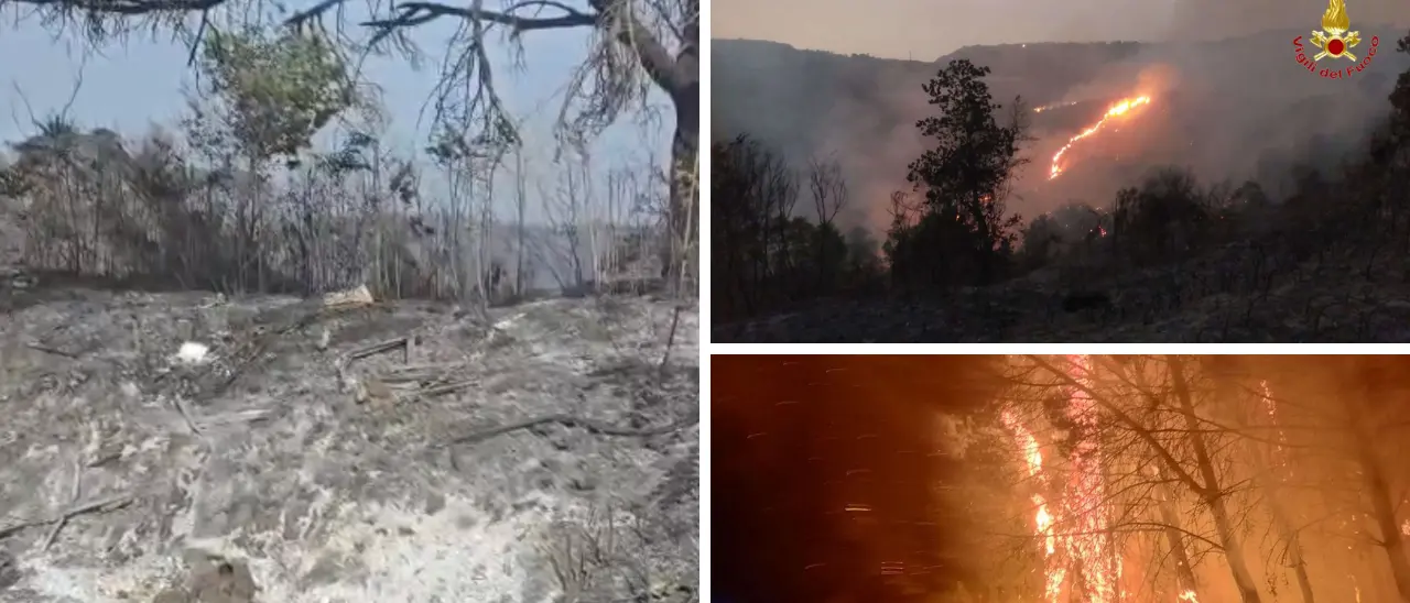 Incendi nel Vibonese, Torre Galli ridotta in cenere: collina di Drapia devastata. Oltre 40 interventi dei vigili del fuoco in 24 ore\n