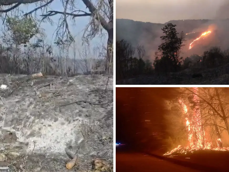 Incendi nel Vibonese, Torre Galli ridotta in cenere: collina di Drapia devastata. Oltre 40 interventi dei vigili del fuoco in 24 ore