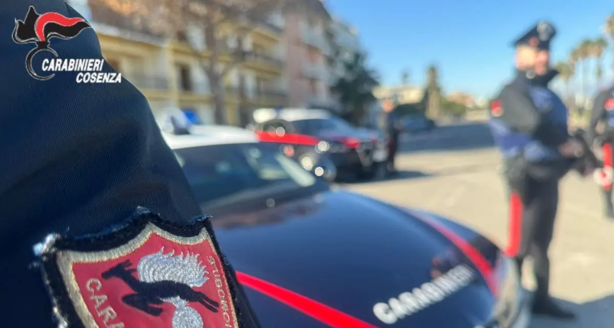 Schiavonea, accoltella il vicino e lancia una bombola dal balcone: fermato dai carabinieri\n
