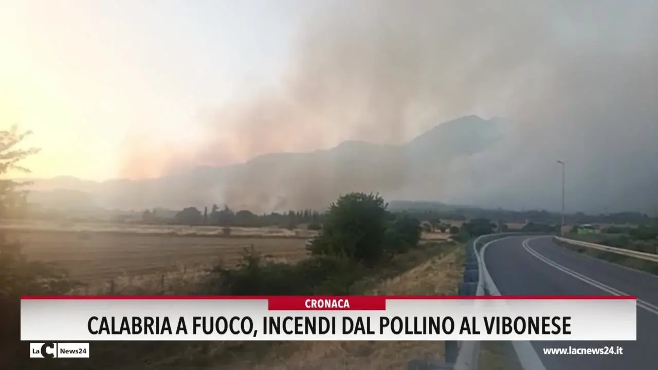 Calabria a fuoco, incendi dal Pollino al Vibonese