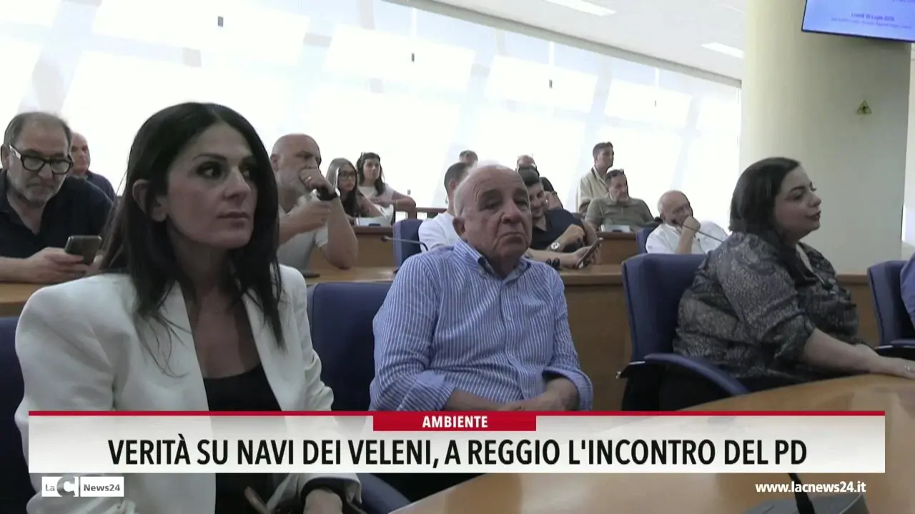 Verità sulle navi dei veleni, a Reggio l'incontro del Pd