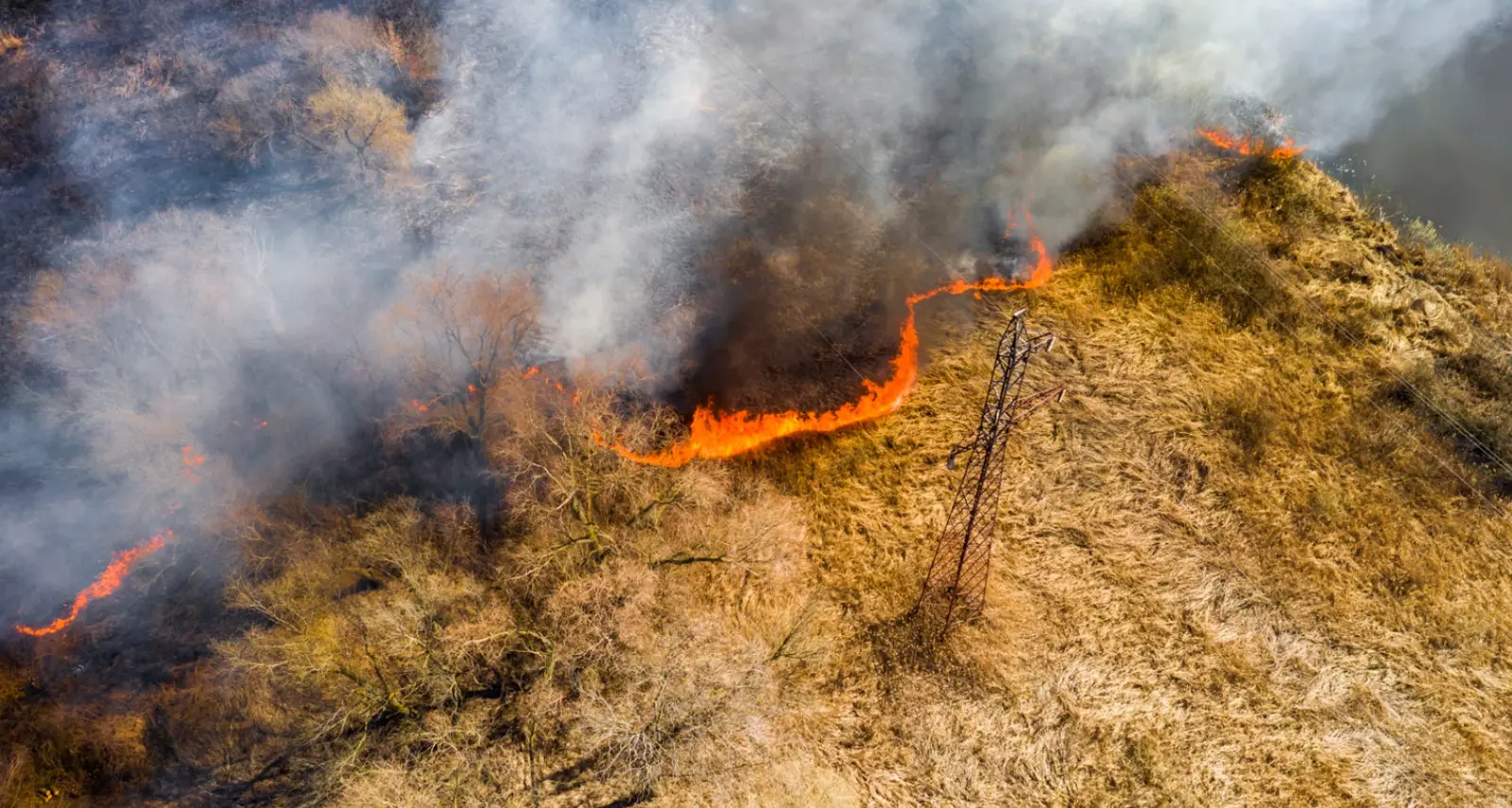 Calabria nella morsa degli incendi, Legambiente: «Servono controlli, prevenzione e tolleranza zero contro i piromani»\n