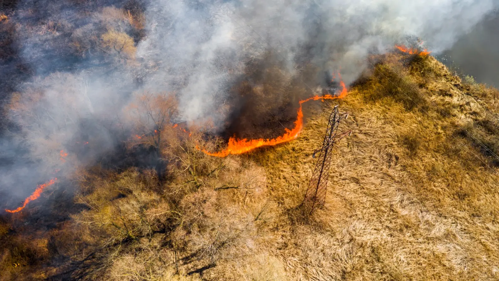 Calabria nella morsa degli incendi, Legambiente: «Servono controlli, prevenzione e tolleranza zero contro i piromani»\n