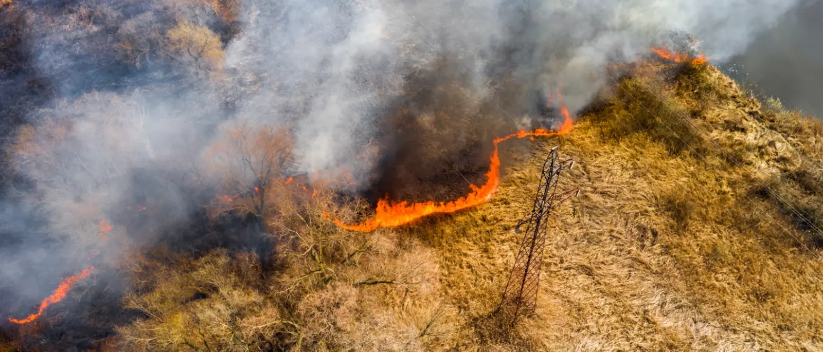 Calabria nella morsa degli incendi, Legambiente: «Servono controlli, prevenzione e tolleranza zero contro i piromani»\n