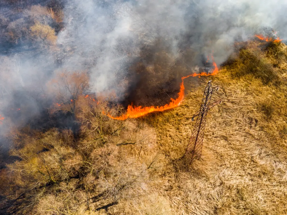 Calabria nella morsa degli incendi, Legambiente: «Servono controlli, prevenzione e tolleranza zero contro i piromani»